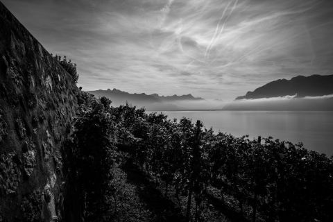 harry_2022_weekend-lauvaux_001