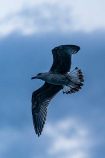 harry_2022_weekend-lauvaux_005
