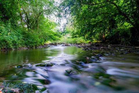 harry_2025_fliessendes_wasser-wyna_001