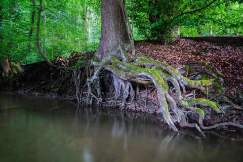 harry_2025_fliessendes_wasser-wyna_002