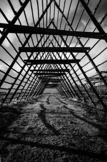 harry_2025_lofotenreise_004