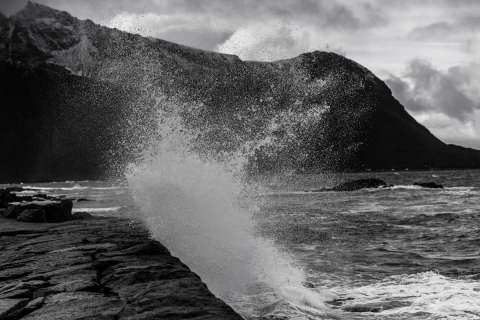 harry_2025_lofotenreise_005