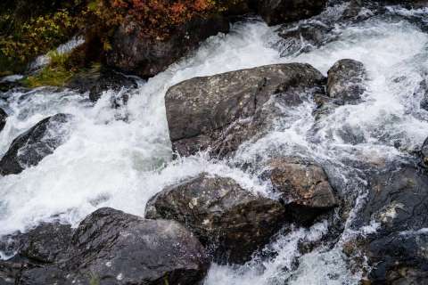 harry_2025_lofotenreise_020