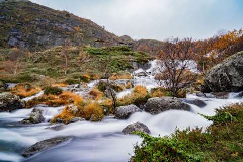 harry_2025_lofotenreise_021