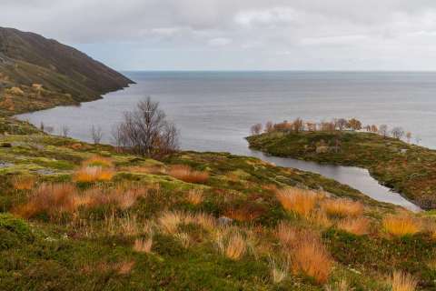 harry_2025_lofotenreise_022