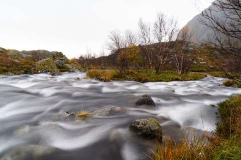 harry_2025_lofotenreise_023