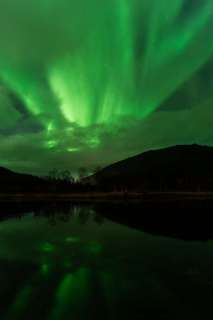 harry_2025_lofotenreise_026