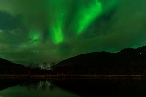 harry_2025_lofotenreise_028