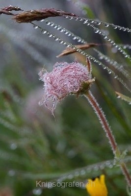 monique_2014_weekend_zentralschweiz_004