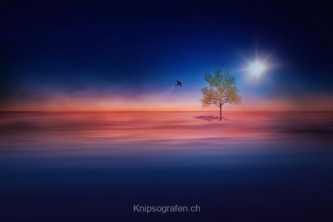 monique_2015_sureale_welten_001