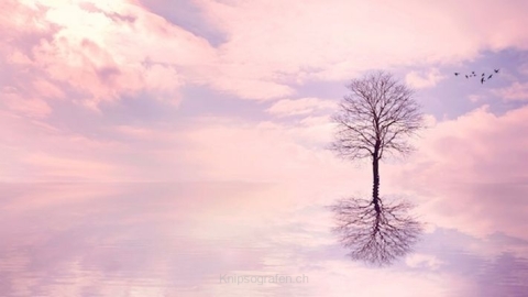 monique_2015_sureale_welten_003