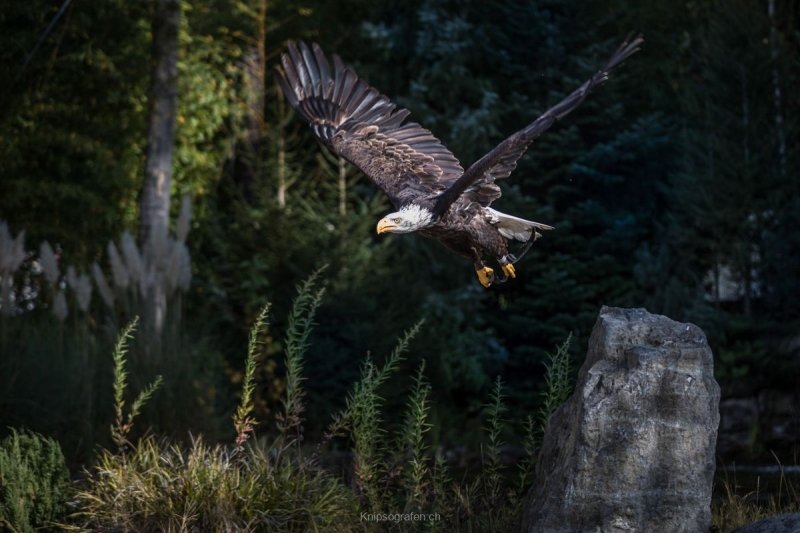 monique_2017_weekend_tessin_003