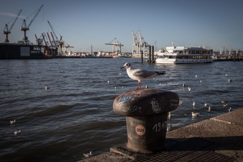 monique_2018_weekend_hamburg_008
