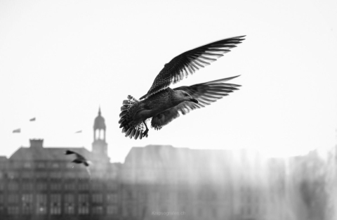 monique_2018_weekend_hamburg_020