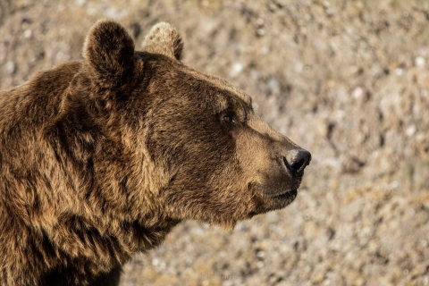 monique_2019_tierpark_goldau_002