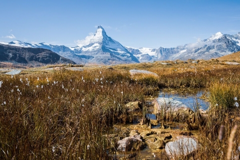 monique_2019_weekend-wallis_002