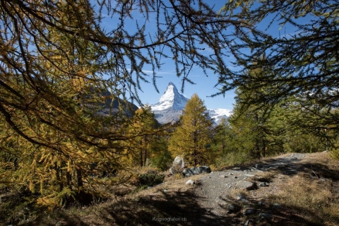 monique_2019_weekend-wallis_003