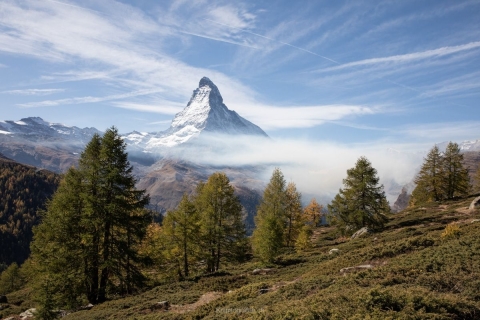 monique_2019_weekend-wallis_004