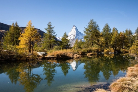 monique_2019_weekend-wallis_005