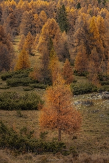 monique_2021_weekend-engadin_001