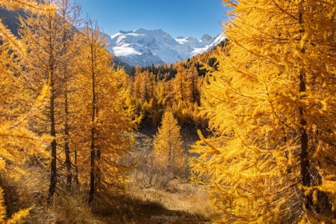 monique_2021_weekend-engadin_003