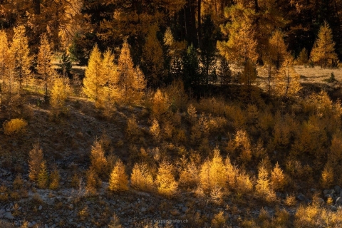 monique_2021_weekend-engadin_004