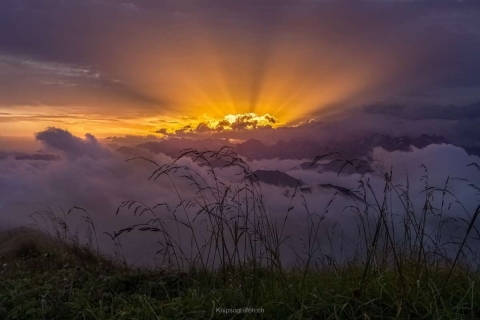 monique_2024_steinboecke_sonnenaufgang_001