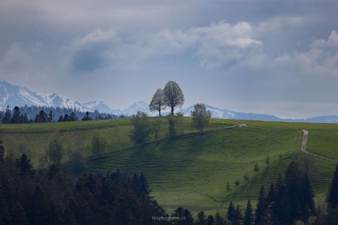 monique_2024_weekend_emmental_004