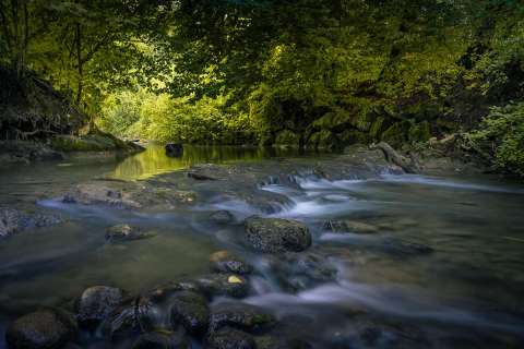 monique_2025_fliessendes-Wasser-Wyna_001