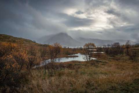 monique_2025_lofotenreise_005