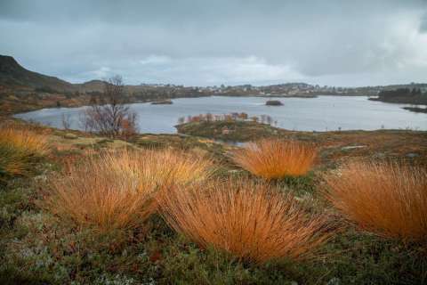 monique_2025_lofotenreise_009