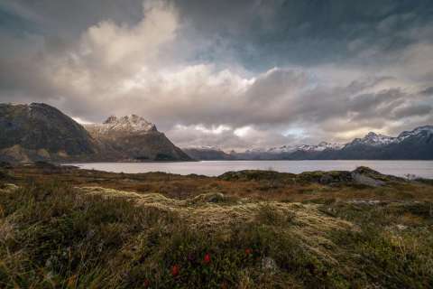 monique_2025_lofotenreise_015