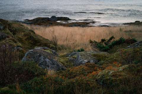 monique_2025_lofotenreise_020