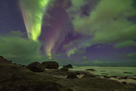 monique_2025_lofotenreise_024