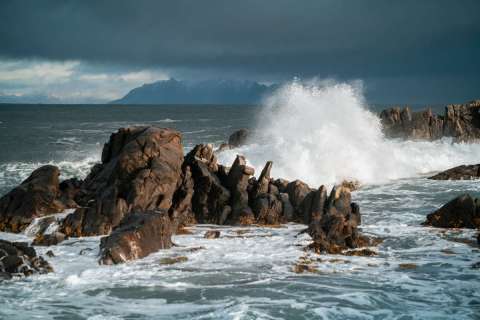 monique_2025_lofotenreise_034