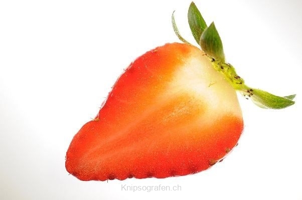 nadja_2007_fruechte_001