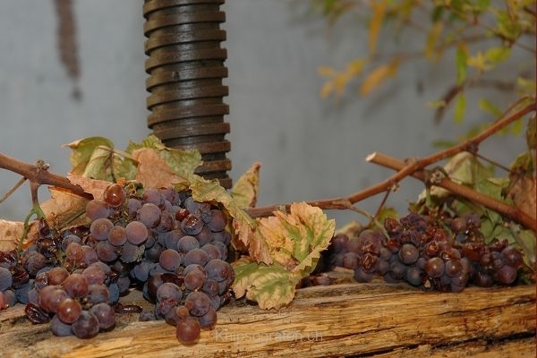 nadja_2007_weekend_elsass_015