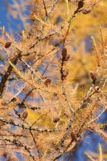 nadja_2008_weekend_engadin_002