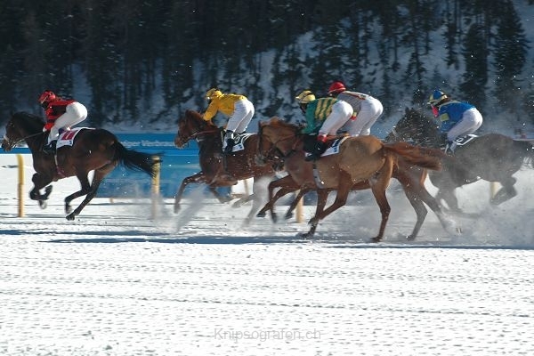 nadja_2008_white_turf_006