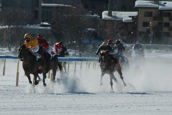 nadja_2008_white_turf_008