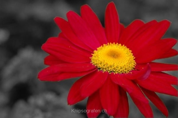 nadja_2010_diverse_002