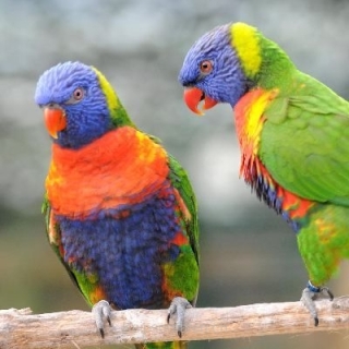 nadja_2010_tonis_zoo_001