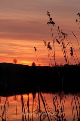 nadja_2013_blaue_stunde_soppensee_002