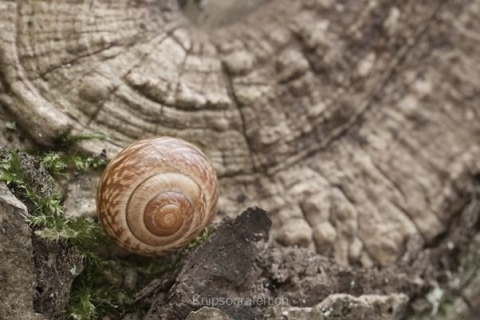 nadja_2013_weekend_westschweiz_015