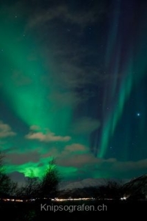 nadja_2015_nordlichtwoche_norwegen_018