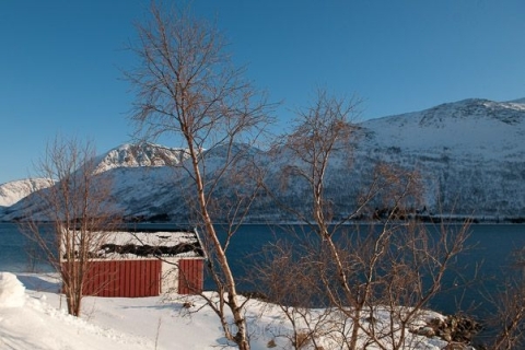 nadja_2015_nordlichtwoche_norwegen_025
