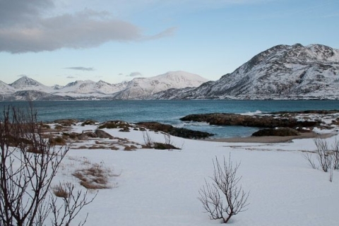 nadja_2015_nordlichtwoche_norwegen_026