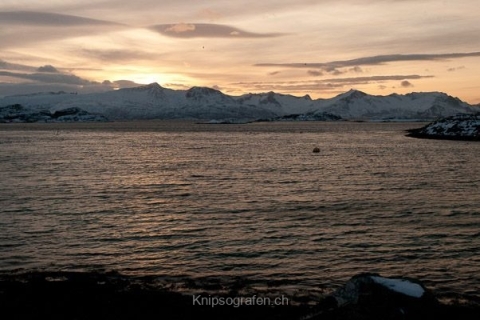 nadja_2015_nordlichtwoche_norwegen_030