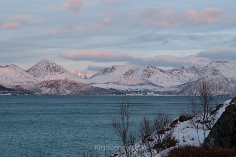 nadja_2015_nordlichtwoche_norwegen_031