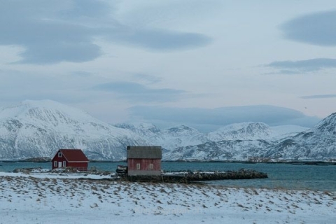 nadja_2015_nordlichtwoche_norwegen_032